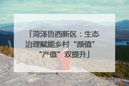 菏泽鲁西新区：生态治理赋能乡村“颜值”“产值”双提升