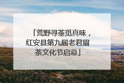 荒野寻茶觅真味，红安县第九届老君眉茶文化节启幕