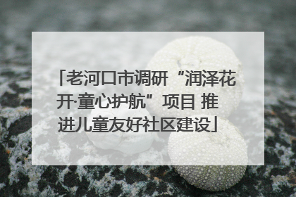 老河口市调研“润泽花开·童心护航”项目 推进儿童友好社区建设