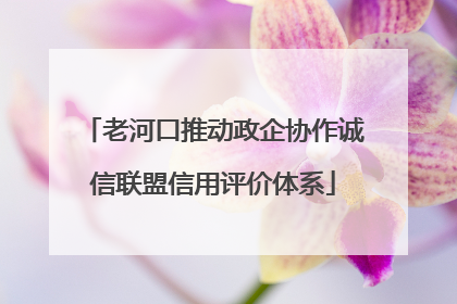 老河口推动政企协作诚信联盟信用评价体系