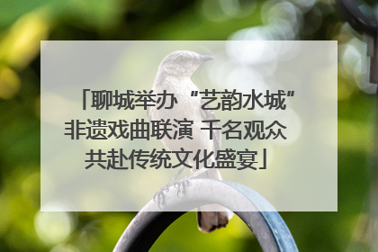 聊城举办“艺韵水城”非遗戏曲联演 千名观众共赴传统文化盛宴