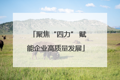 聚焦“四力” 赋能企业高质量发展