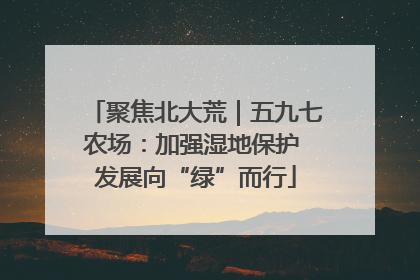 聚焦北大荒｜五九七农场：加强湿地保护 发展向“绿”而行