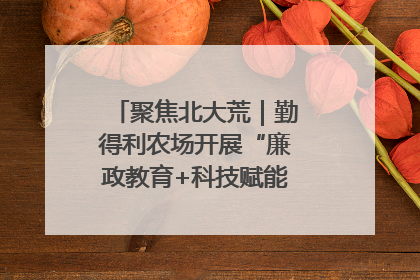 聚焦北大荒｜勤得利农场开展“廉政教育+科技赋能”主题党日活动