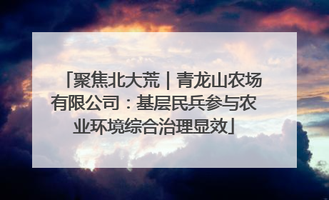 聚焦北大荒｜青龙山农场有限公司：基层民兵参与农业环境综合治理显效