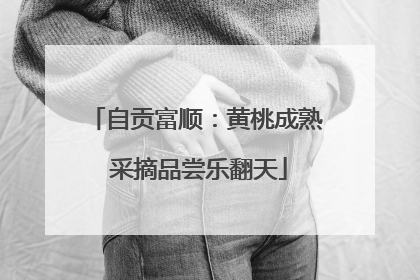 自贡富顺：黄桃成熟 采摘品尝乐翻天