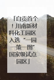 自贡首个！川南新材料化工园区入选“一园一策一图”国家级试点园区