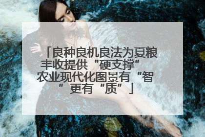 良种良机良法为夏粮丰收提供“硬支撑” 农业现代化图景有“智”更有“质”