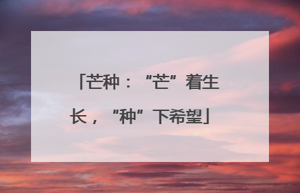 芒种：“芒”着生长，“种”下希望