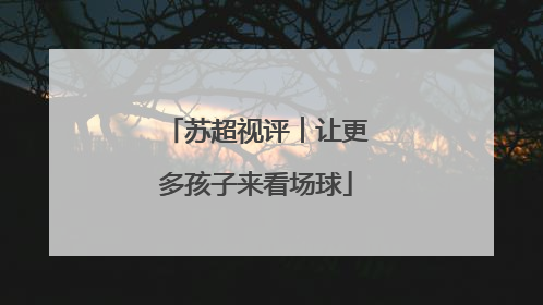 苏超视评︱让更多孩子来看场球