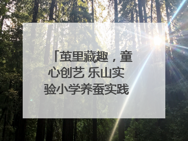 茧里藏趣，童心创艺 乐山实验小学养蚕实践绘就成长画卷