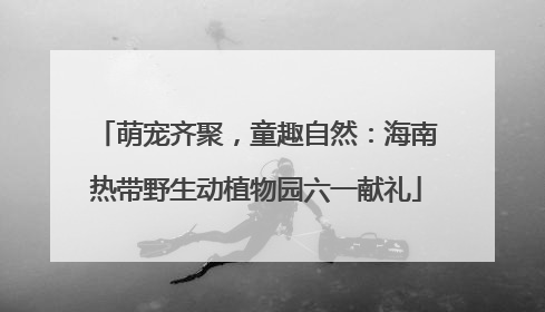 萌宠齐聚，童趣自然：海南热带野生动植物园六一献礼