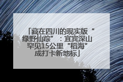 藏在四川的现实版“绿野仙踪”：宜宾深山罕见15公里“稻海”成打卡新地标