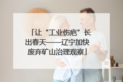 让“工业伤疤”长出春天——辽宁加快废弃矿山治理观察