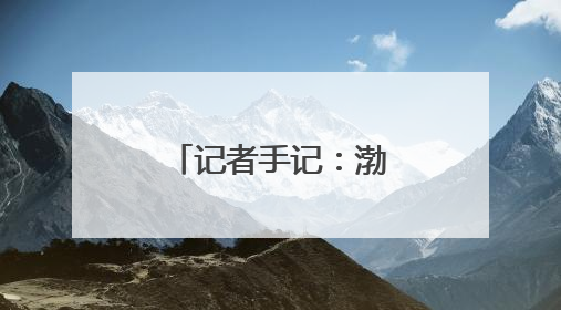 记者手记：渤海湾畔盐碱滩变身“新粮仓”