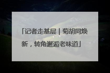 记者走基层｜菊胡同焕新，转角邂逅老味道