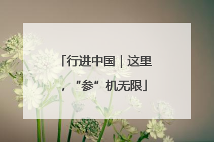 行进中国｜这里，“参”机无限