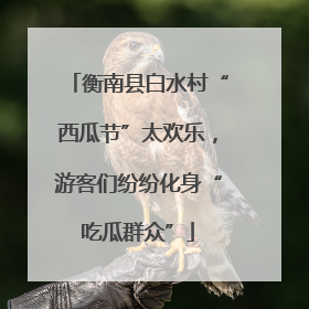 衡南县白水村“西瓜节”太欢乐，游客们纷纷化身“吃瓜群众”