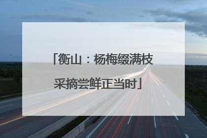 衡山：杨梅缀满枝 采摘尝鲜正当时