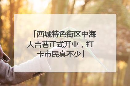 西城特色街区中海大吉巷正式开业，打卡市民真不少