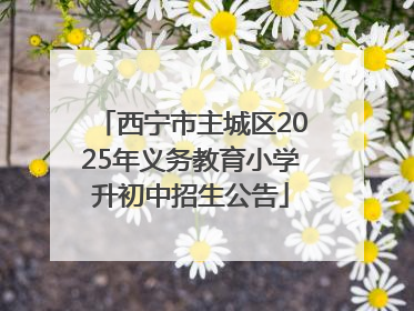 西宁市主城区2025年义务教育小学升初中招生公告