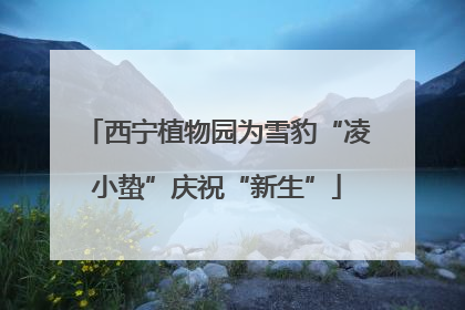 西宁植物园为雪豹“凌小蛰”庆祝“新生”