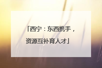 西宁：东西携手，资源互补育人才