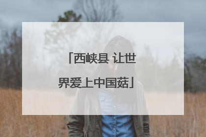 西峡县 让世界爱上中国菇