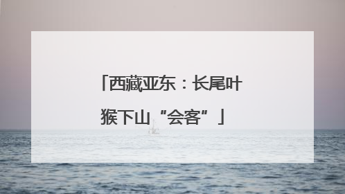 西藏亚东：长尾叶猴下山“会客”