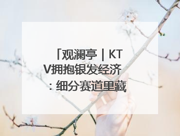 观澜亭｜KTV拥抱银发经济：细分赛道里藏着潜在需求