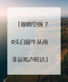 规模空前 70头白犀牛从南非运抵卢旺达
