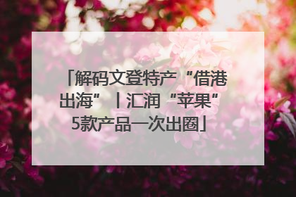 解码文登特产“借港出海”丨汇润“苹果”5款产品一次出圈