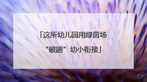 这所幼儿园用绿茵场“破题”幼小衔接