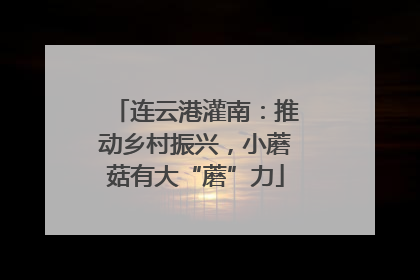 连云港灌南：推动乡村振兴，小蘑菇有大“蘑”力