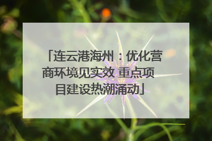 连云港海州：优化营商环境见实效 重点项目建设热潮涌动
