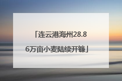连云港海州28.86万亩小麦陆续开镰