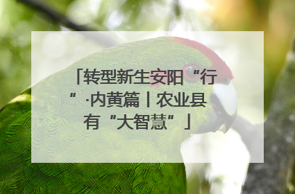 转型新生安阳“行”·内黄篇丨农业县有“大智慧”