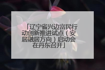 辽宁省兴边富民行动创新推进试点（安居融居方向）启动会在丹东召开