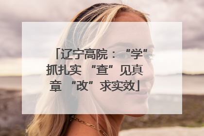 辽宁高院：“学”抓扎实 “查”见真章 “改”求实效