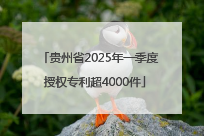 贵州省2025年一季度授权专利超4000件