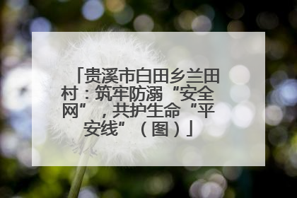 贵溪市白田乡兰田村：筑牢防溺“安全网”，共护生命“平安线”（图）
