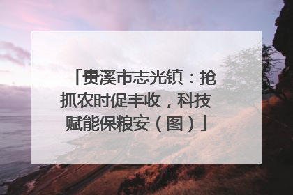贵溪市志光镇：抢抓农时促丰收，科技赋能保粮安（图）