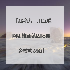 赵艳芳：用互联网思维铺就固阳县乡村助农路