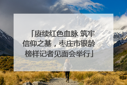赓续红色血脉 筑牢信仰之基，枣庄市银龄榜样记者见面会举行