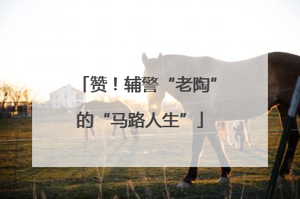 赞！辅警“老陶”的“马路人生”