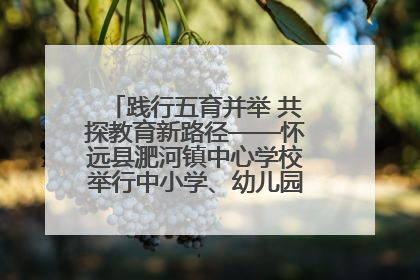 践行五育并举 共探教育新路径——怀远县淝河镇中心学校举行中小学、幼儿园班主任论坛活动