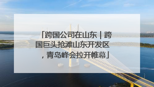 跨国公司在山东｜跨国巨头抢滩山东开发区，青岛峰会拉开帷幕