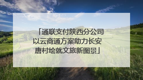 通联支付陕西分公司以云商通方案助力长安唐村绘就文旅新图景