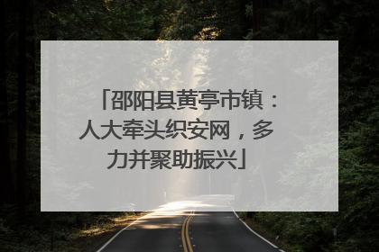 邵阳县黄亭市镇：人大牵头织安网，多力并聚助振兴
