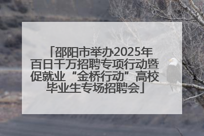 邵阳市举办2025年百日千万招聘专项行动暨促就业“金桥行动”高校毕业生专场招聘会